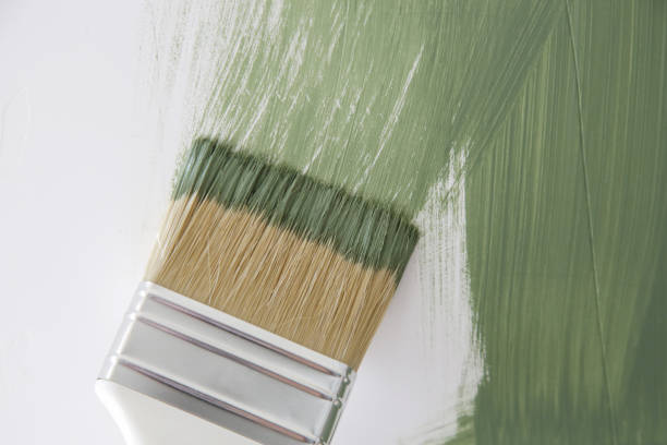 Best Emergency Mold Remediation  in Agler Estates, FL