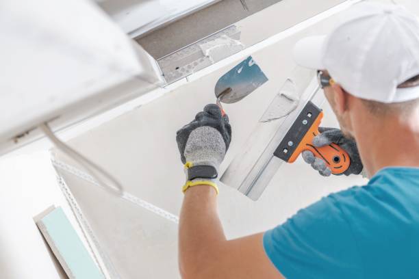 Best Attic Mold Removal  in Agler Estates, FL